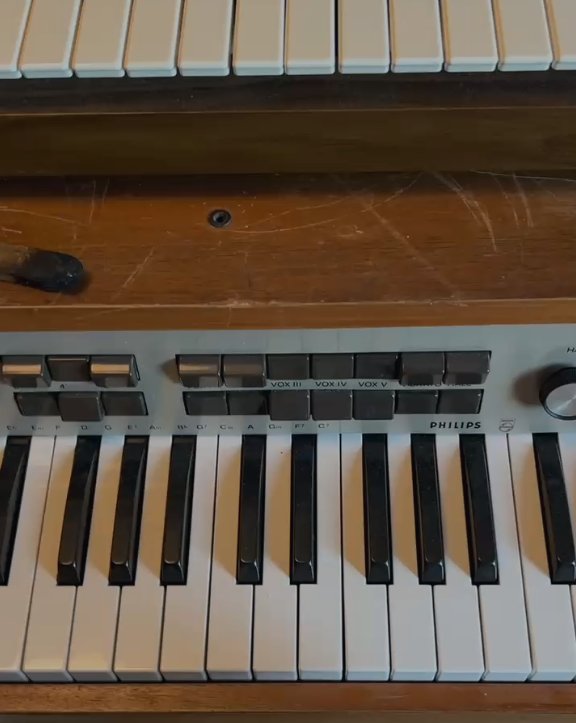 Close-up of the rocker tabs and volume knob on the panel